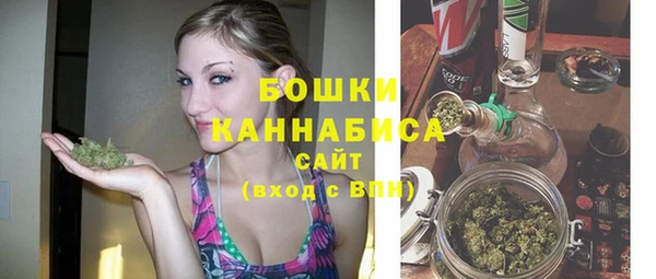 спиды Богданович