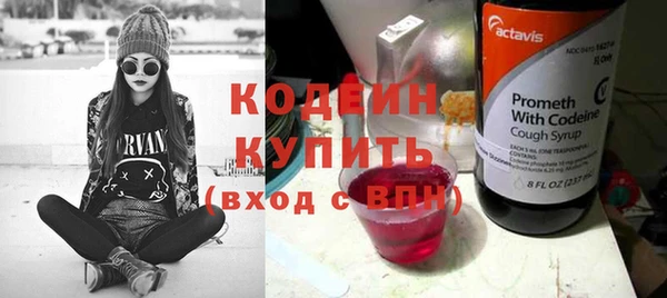 крисы Богородицк