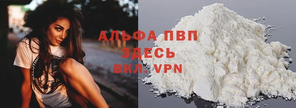 спиды Богданович