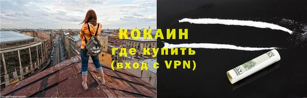 спиды Богданович