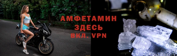 спиды Богданович