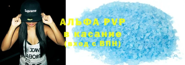 спиды Богданович