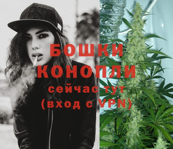 крисы Богородицк