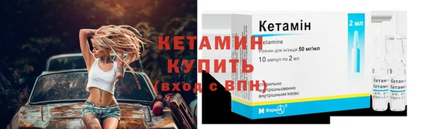 крисы Богородицк