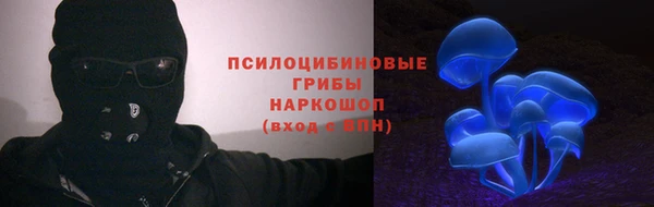 спиды Богданович
