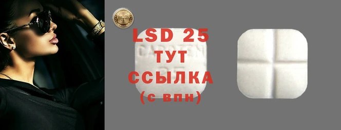 спиды Богданович