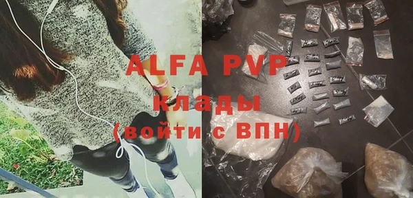 крисы Богородицк