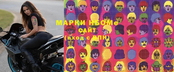 крисы Богородицк