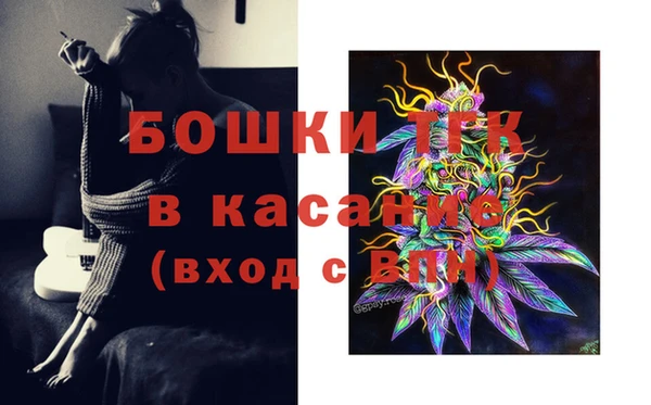 крисы Богородицк
