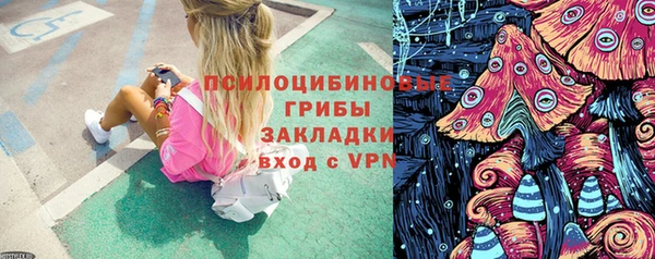 крисы Богородицк