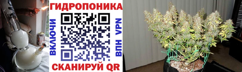 купить   Власиха  Каннабис Ganja 